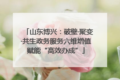 山东博兴：破壁·聚变·共生政务服务六维增值赋能“高效办成”
