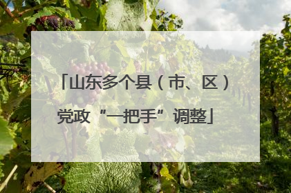 山东多个县（市、区）党政“一把手”调整