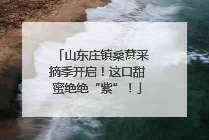 山东庄镇桑葚采摘季开启！这口甜蜜绝绝“紫”！