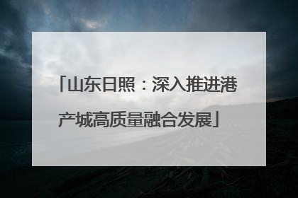 山东日照：深入推进港产城高质量融合发展