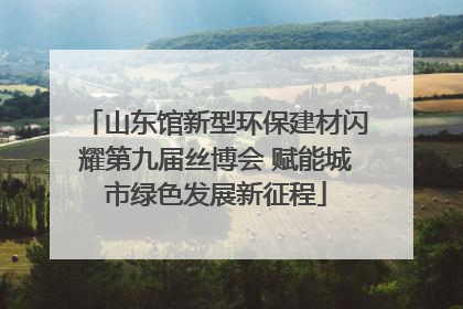 山东馆新型环保建材闪耀第九届丝博会 赋能城市绿色发展新征程
