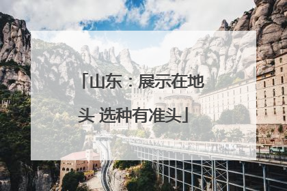 山东：展示在地头 选种有准头