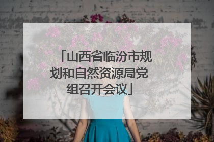 山西省临汾市规划和自然资源局党组召开会议