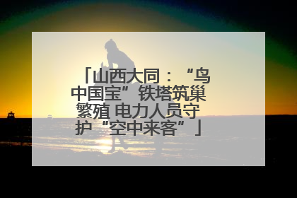 山西大同：“鸟中国宝”铁塔筑巢繁殖 电力人员守护“空中来客”