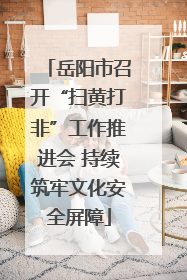 岳阳市召开“扫黄打非”工作推进会 持续筑牢文化安全屏障