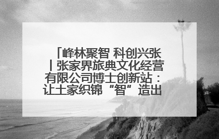 峰林聚智 科创兴张丨张家界旅典文化经营有限公司博士创新站：让土家织锦“智”造出非遗新传奇