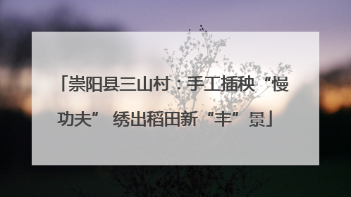 崇阳县三山村：手工插秧“慢功夫” 绣出稻田新“丰”景