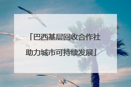 巴西基层回收合作社助力城市可持续发展