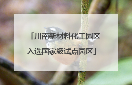 川南新材料化工园区入选国家级试点园区