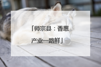 师宗县：香葱产业一路鲜