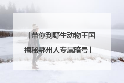 带你到野生动物王国揭秘鄂州人专属暗号