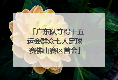 广东队夺得十五运会群众七人足球赛佛山赛区首金