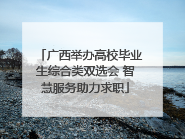 广西举办高校毕业生综合类双选会 智慧服务助力求职