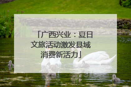 广西兴业：夏日文旅活动激发县域消费新活力