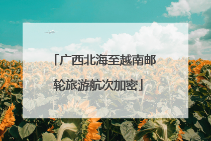 广西北海至越南邮轮旅游航次加密