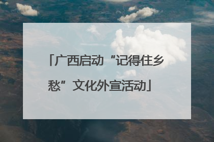 广西启动“记得住乡愁”文化外宣活动