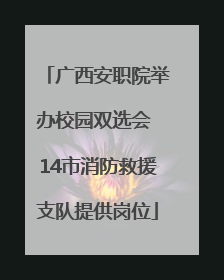 广西安职院举办校园双选会 14市消防救援支队提供岗位