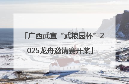 广西武宣“武粮园杯”2025龙舟邀请赛开桨