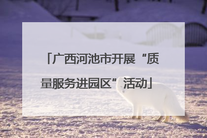 广西河池市开展“质量服务进园区”活动
