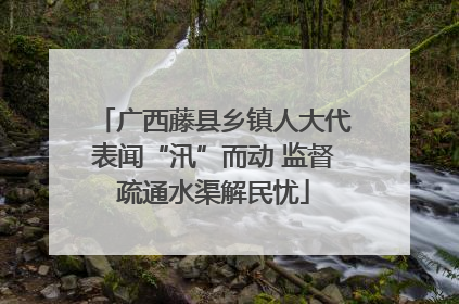 广西藤县乡镇人大代表闻“汛”而动 监督疏通水渠解民忧