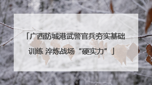 广西防城港武警官兵夯实基础训练 淬炼战场“硬实力”