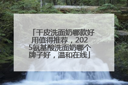 干皮洗面奶哪款好用值得推荐，2025氨基酸洗面奶哪个牌子好，温和在线