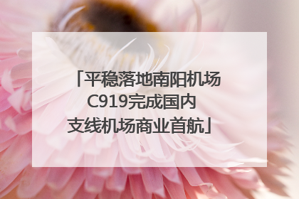 平稳落地南阳机场 C919完成国内支线机场商业首航