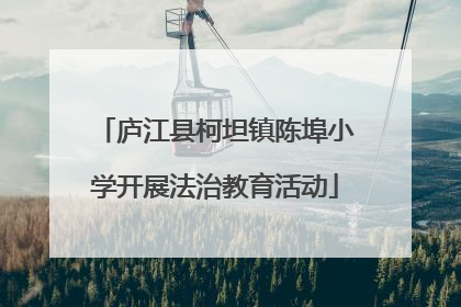 庐江县柯坦镇陈埠小学开展法治教育活动