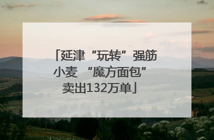 延津“玩转”强筋小麦 “魔方面包”卖出132万单