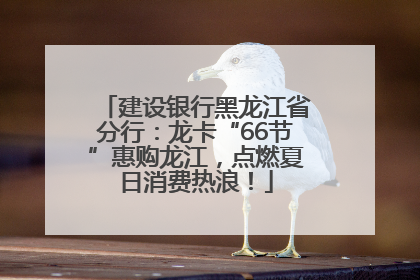 建设银行黑龙江省分行：龙卡“66节”惠购龙江，点燃夏日消费热浪！