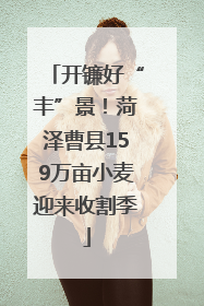 开镰好“丰”景！菏泽曹县159万亩小麦迎来收割季