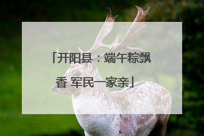 开阳县：端午粽飘香 军民一家亲