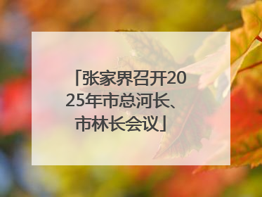 张家界召开2025年市总河长、市林长会议