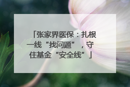 张家界医保：扎根一线“找问题”，守住基金“安全线”