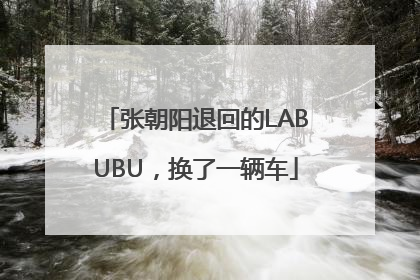 张朝阳退回的LABUBU，换了一辆车