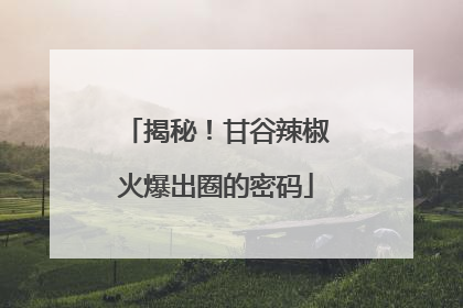 揭秘！甘谷辣椒火爆出圈的密码