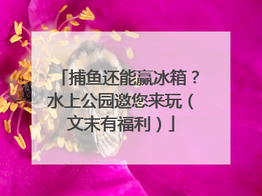 捕鱼还能赢冰箱？水上公园邀您来玩（文末有福利）