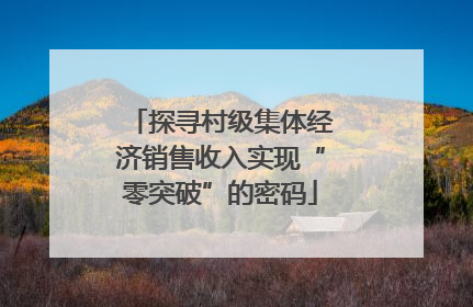 探寻村级集体经济销售收入实现“零突破”的密码