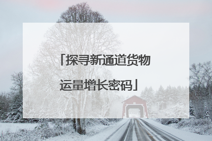 探寻新通道货物运量增长密码