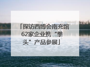 探访西博会南充馆 62家企业携“拳头”产品参展