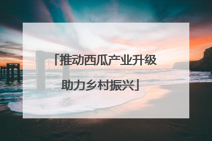 推动西瓜产业升级 助力乡村振兴