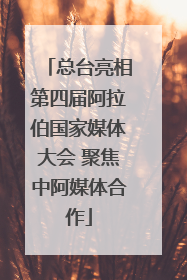 总台亮相第四届阿拉伯国家媒体大会 聚焦中阿媒体合作