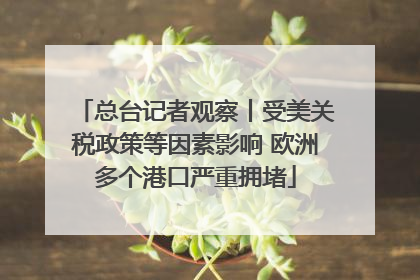 总台记者观察丨受美关税政策等因素影响 欧洲多个港口严重拥堵