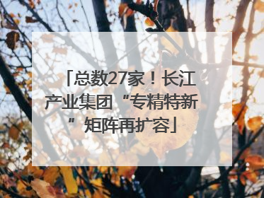 总数27家！长江产业集团“专精特新”矩阵再扩容