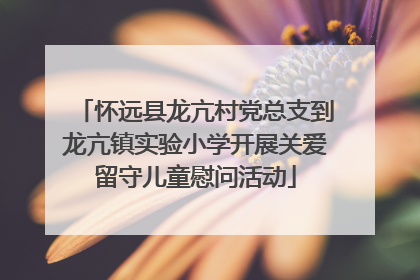 怀远县龙亢村党总支到龙亢镇实验小学开展关爱留守儿童慰问活动
