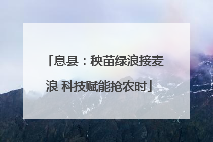 息县：秧苗绿浪接麦浪 科技赋能抢农时