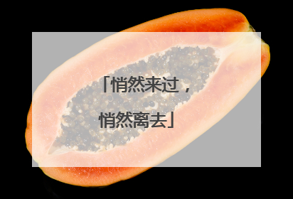 悄然来过，悄然离去