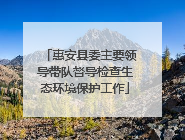 惠安县委主要领导带队督导检查生态环境保护工作