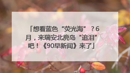 想看蓝色“荧光海”？6月，来瑞安北麂岛“追泪”吧！《90早新闻》来了
