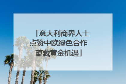 意大利商界人士点赞中欧绿色合作蕴藏黄金机遇